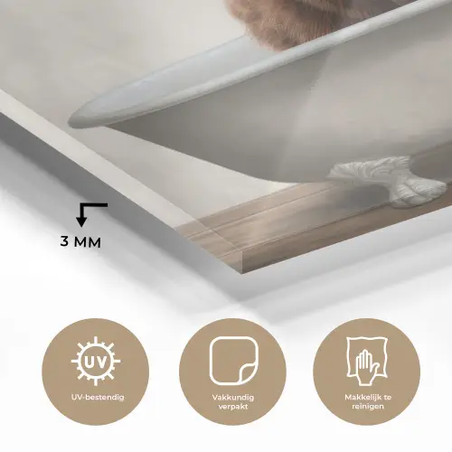 Schotse hooglander - Bad - Badkamer - Badkuip - Bruin - Horens plexiglas 5mm klein -sfeer2
