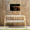 Hooglander tegen Zwarte Achtergrond Tuinposter op houten frame 2 cm dik klein -sfeer4