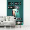 Parkiet - Turquoise - Quotes - Decoratie fotobehang vinyl groot -woonkamer