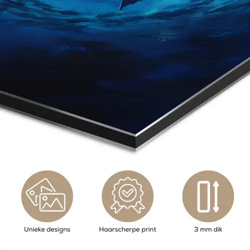 Walvis - Vissen - Donkerblauw aluminium wit klein -closeup_NL