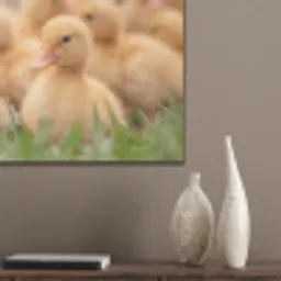 Pijltje - Eend - Natuur - Geel PET vilt klein -sfeer6_closeup