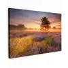 Heidelandschap met een boom canvas 2cm klein -z3d