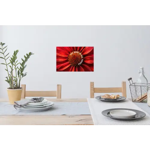 Close up - Bloem - Quote - Rood Muursticker klein -eettafel