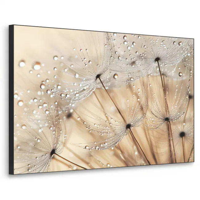 Art Frame - Löwenzahn - Abstrakt - Natur - Beige