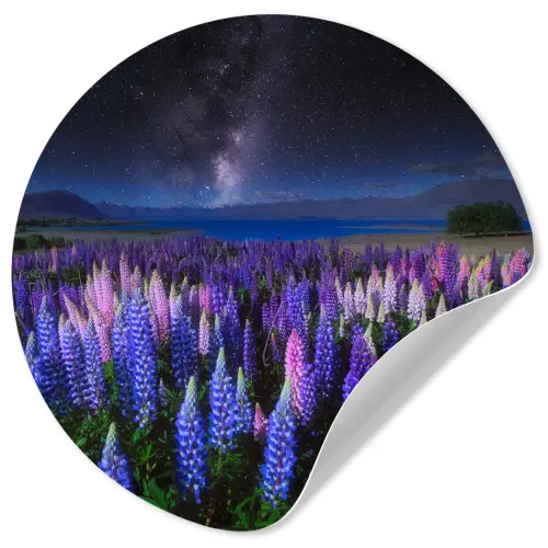 Bloemen - Nacht - Lupine - Sterrenhemel - Paars - Natuur Wandcirkel behangsticker klein -3d