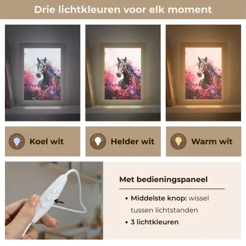 Paard - Dieren - Meisje - Roze Light Box met kabel klein -USP_lichtkleurNL