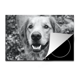 website-inductie3-7a0d.png