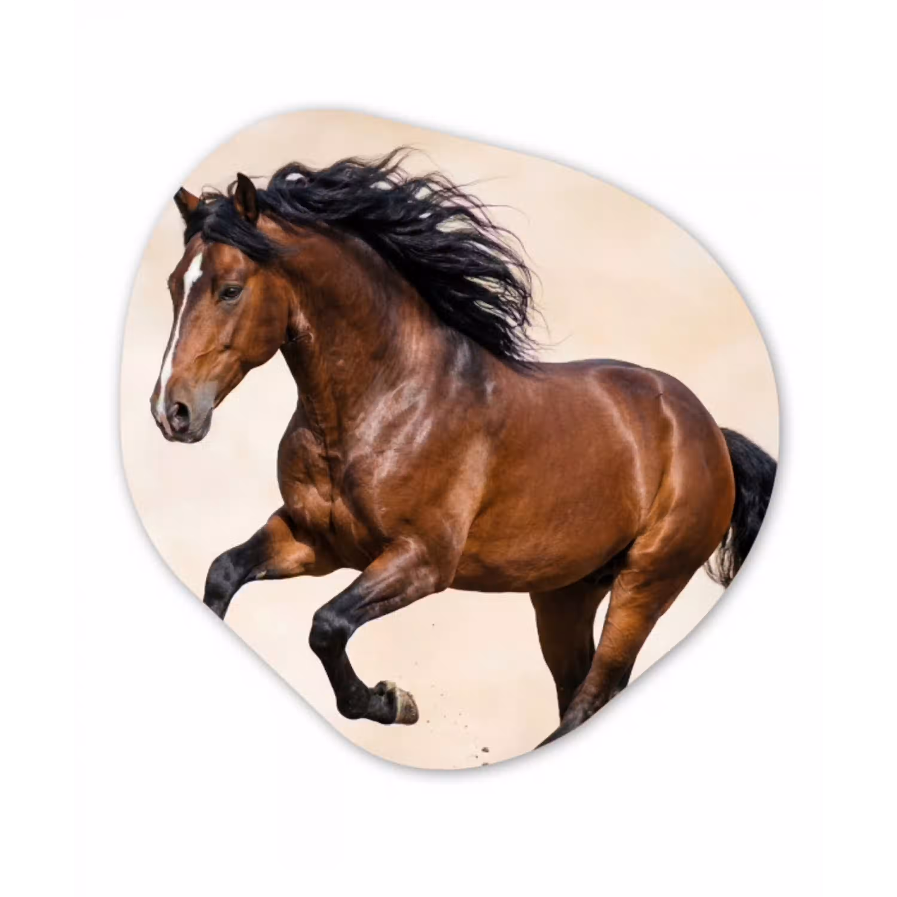 Paard - Galop - Energie Wandcirkel Organisch Aluminium middel -3d