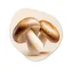 Champignons - Zacht - Beige Wandcirkel Organisch Forex 3mm klein -3d