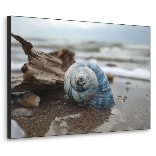 Schelp - Strand - Blauw - Zee Textielframe zwart klein -3d