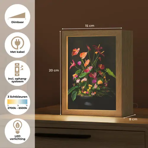Bloemen - Vaas - Kleurrijk Light Box met kabel (Tafellamp) klein -USP_NL