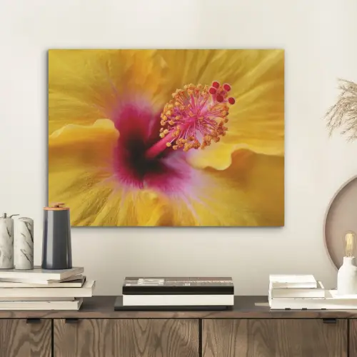Geel - Hibiscus - Tropisch PET vilt klein -sfeer1