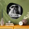 Hond - Bulldog - Pasta - Bril - Stoer - Dieren Wandcirkel Organisch Plexiglas middel -sfeer2