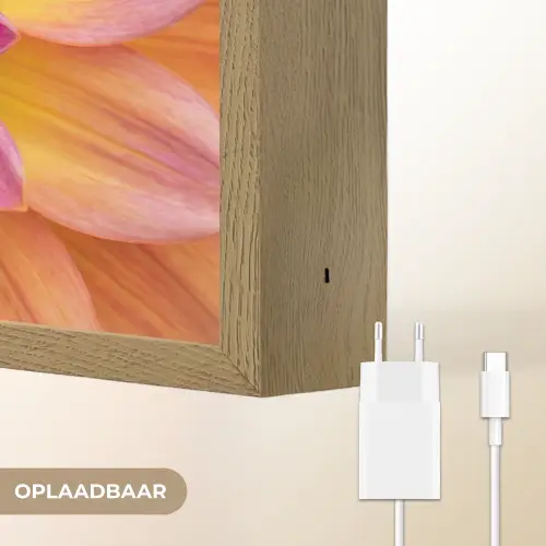 Dahlia - Bloem - Oranje Light Box met batterij (Wandlamp) middel -USP_websiteoplaadbaarNL