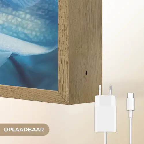 Blauw - Orchidee - Elegeant Light Box met batterij (Wandlamp) middel -USP_websiteoplaadbaarNL