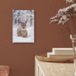 Hert - Sneeuw - Bos - Dieren - Vertederend plexiglas 5mm klein -sfeer5