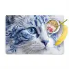 Kat - Patroon - Blauw Placemat vinyl groot -zzzproduct_Kitchenyeah-website