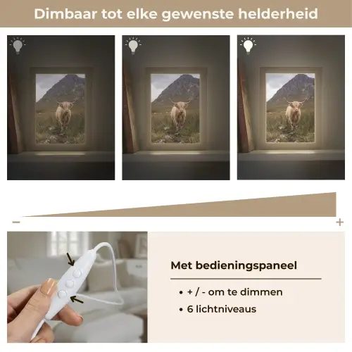 Schotse hooglander - Bergen - Grasveld Light Box met kabel (Tafellamp) klein -USP_dimbaarNL