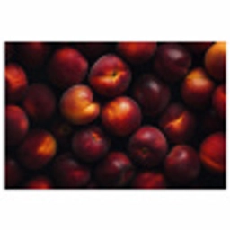 Fruit - Close up - Nectarines poster papier klein -3d