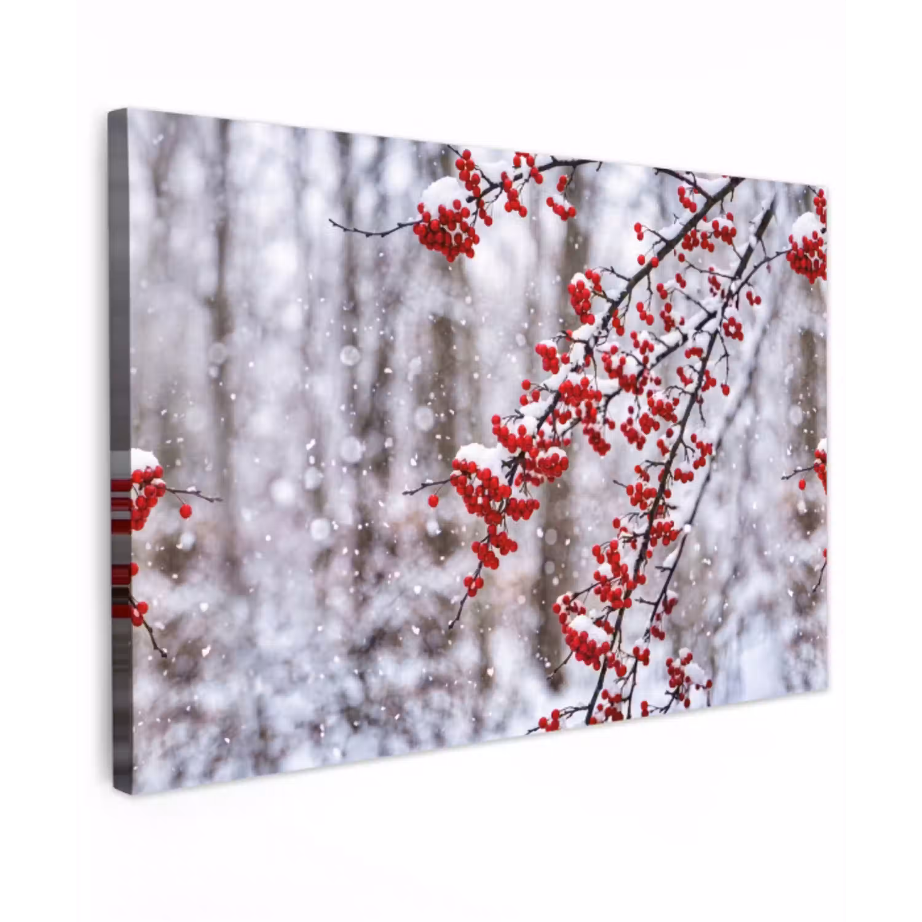 Bessen - Takken - Sneeuw - Winter - Kleurrijk Tuinposter op houten frame 2 cm dik klein -3d