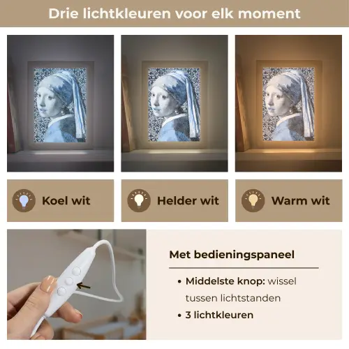 Meisje met de parel - Johannes Vermeer - Delfts blauw Light Box met kabel (Wandlamp) klein -USP_lichtkleurNL