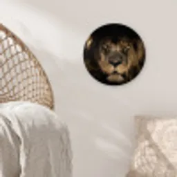 Leeuw - Dieren - Zwart - Portret Wandcirkel kunststof plaat 5mm dik klein -sfeer5