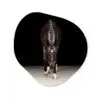 Paard - Modern - Portret Wandcirkel Organisch Aluminium middel -3d