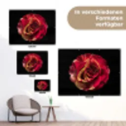 Bloem - Roos - Rood - Zwart tuinposter los doek klein -Xsfeer9_DE