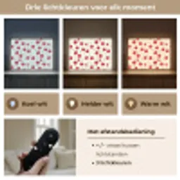 Kersen - Minimalistisch - Rood Light Box met batterij (Wandlamp) middel 907 -USP_lichtkleurNL