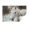 Paard - Wit - Winter - Natuur - Sneeuw - Dieren Muursticker klein -3d