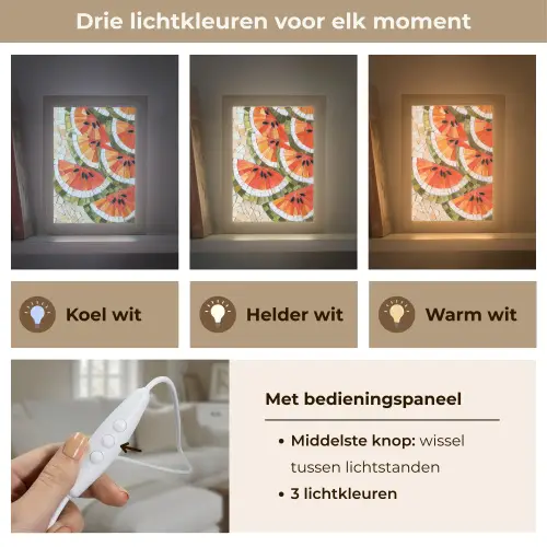 Mozaïek - Watermeloen - Rood - Pitten Light Box met kabel (Tafellamp) klein -USP_lichtkleurNL