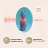 Ananas - Regenboog - Blauw - Popart Akoestische PET Vilt - Rond klein -USP_NL