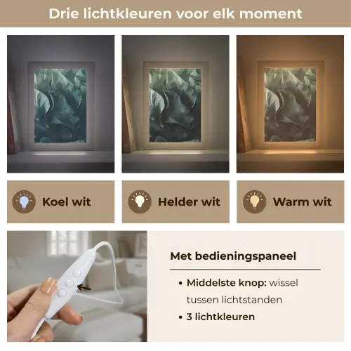 Groen - Bladeren - Glad - Nerven Light Box met kabel (Tafellamp) klein -USP_lichtkleurNL