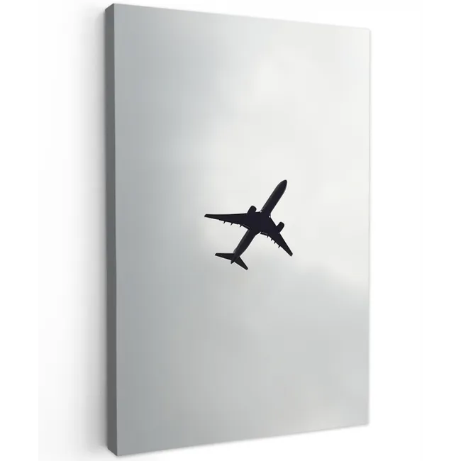 Minimalistisch - Silhouet - Zwart - Vliegtuig Tuinposter op houten frame 2 cm dik klein -3d