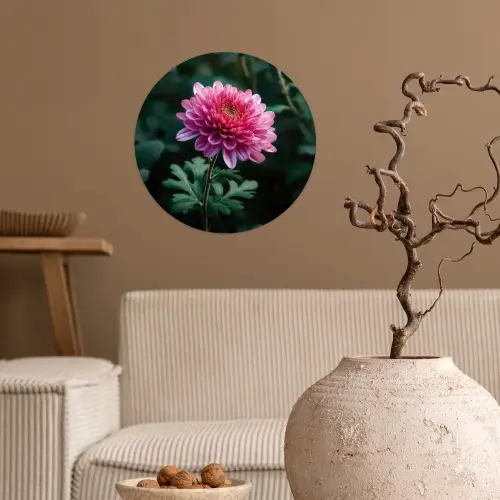 Blad - Chrysant - Roze - Schaduw Wandcirkel behangsticker klein -sfeer1