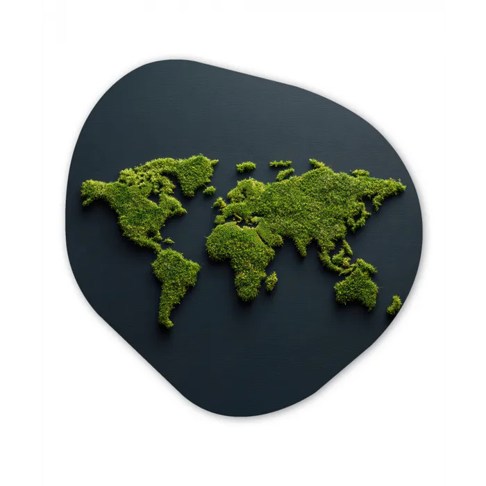 Wereldkaart - Mos -Levendig effect Wandcirkel Organisch Plexiglas middel -3d
