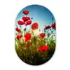 Klaprozen - Toscane - Zon - Rood - Blauw Wandcirkel Ovaal Forex klein -3d