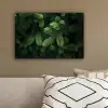 Sparrentakken - Knoppen - Naalden - Groen canvas 2cm klein -sfeer3