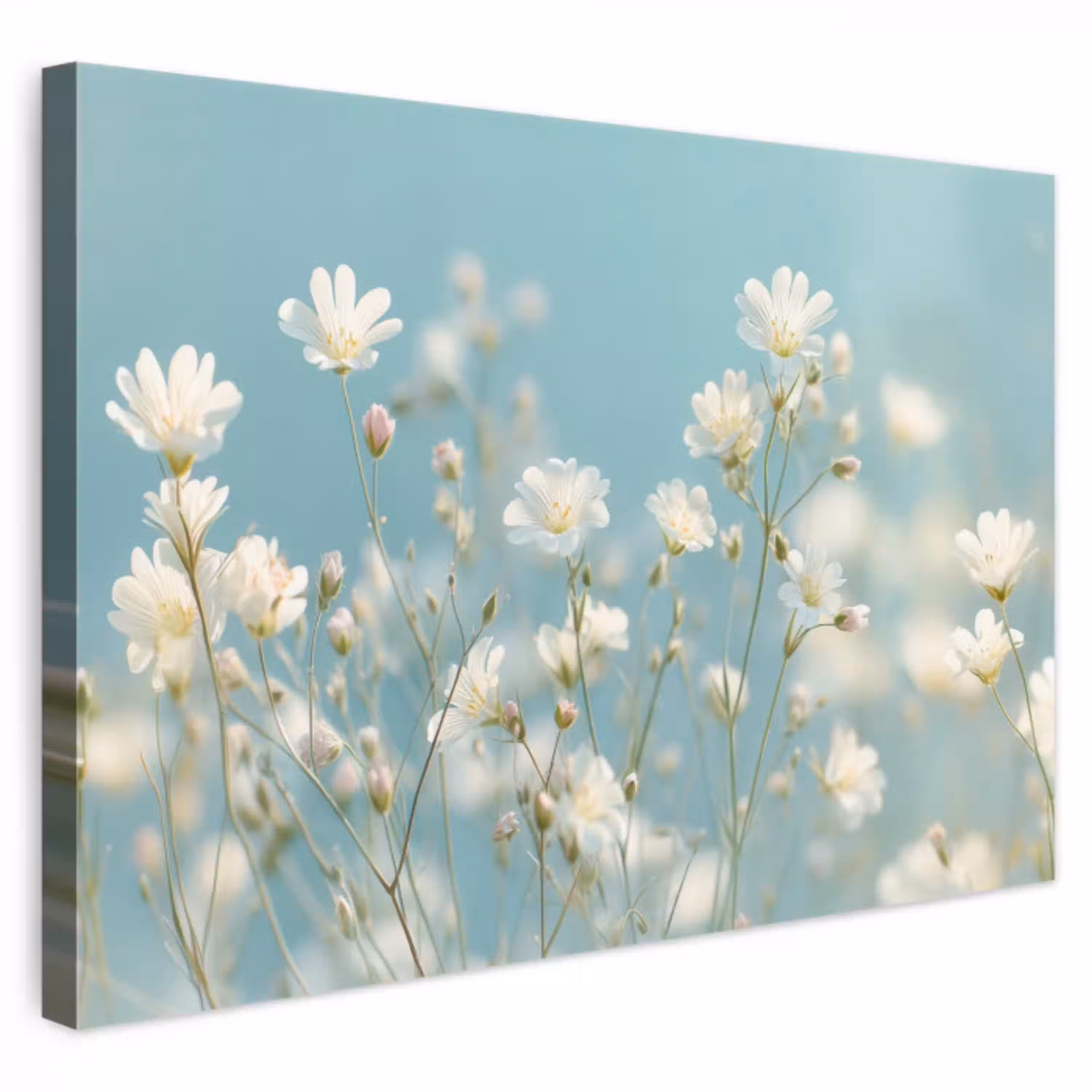 Stängel – Blumen – Luft – Weiß canvas 2cm klein -3d