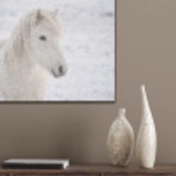 Paard - Kop - Winter - Dieren - Wit PET vilt klein -sfeer6_closeup