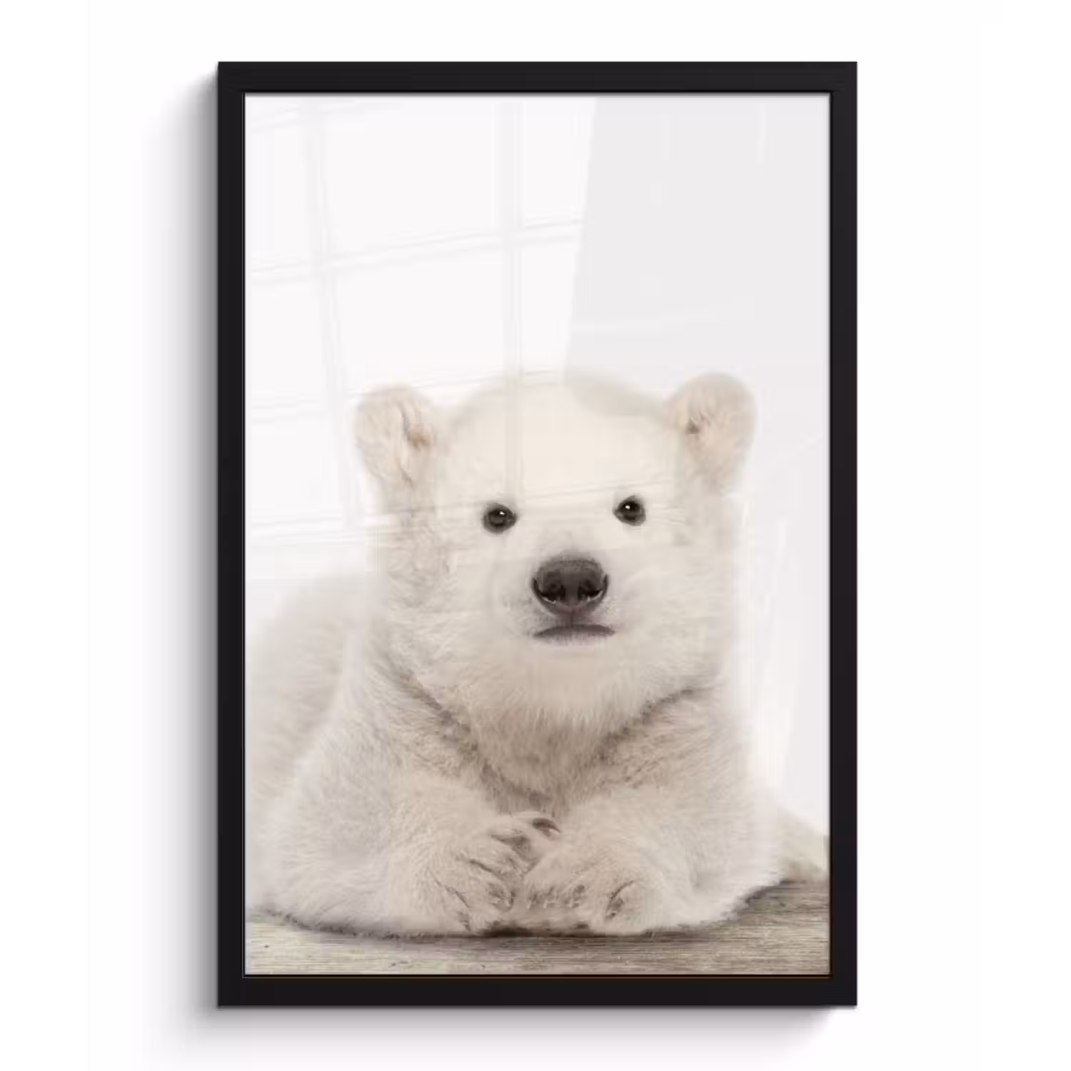 Poster met lijst - IJsbeer - Dieren - Kinderen - Wit - Jongens - Meisjes