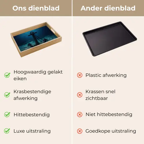Anker - Ijzer - Zeebodem - Zand Dienblad Rechthoek middel -USP_VergelijkingNL