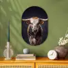 Stier - Kleurrijk - Hoorns Wandcirkel Ovaal Forex klein -sfeer2