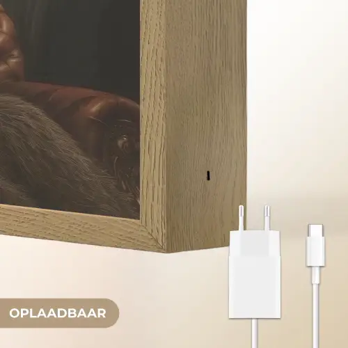 Beer - Bruin - Pak - Hoed Light Box met batterij (Wandlamp) middel -USP_websiteoplaadbaarNL
