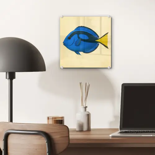Blauw - Dory - Vis - Staartvin plexiglas 5mm klein -sfeer6