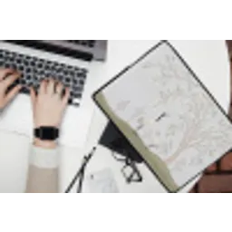 Minimalistisch - Kraanvogels - Blauw laptophoes neopreen klein -bureau