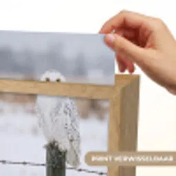 Sneeuwuil - Hek - Sneeuw - Wit Light Box met kabel (Kinderlampje) klein -USP_websiteprintNL