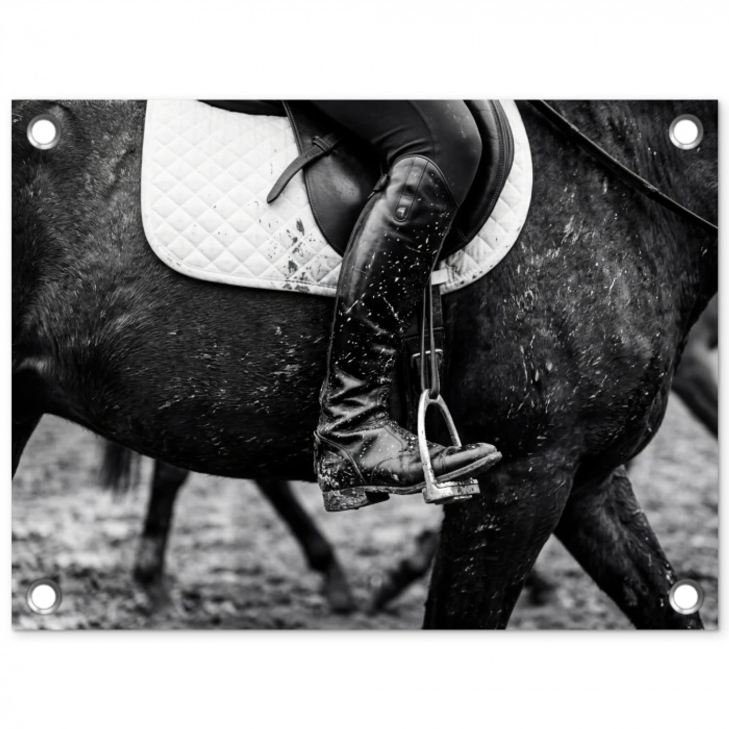 Paard - Sport - Zwart - Wit tuinposter los doek klein -3d