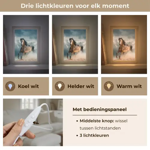 Paard - Dieren - Bruin - Natuur Light Box met kabel (Tafellamp) klein -USP_lichtkleurNL