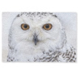 Sneeuwuil - Oog - Wildlife - Wit Deurmat klein -zkaufland3d